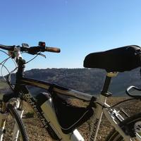 Bicicletta ELETTRICA BOTTECCHIA Verde natura