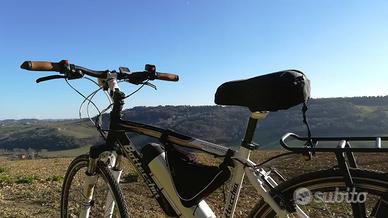 Bicicletta ELETTRICA BOTTECCHIA Verde natura