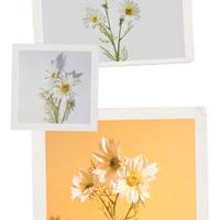 EDG Ramo Artificiale di Margherita bianca 