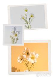 EDG Ramo Artificiale di Margherita bianca 