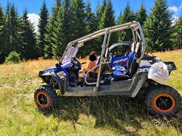 Dune Buggy