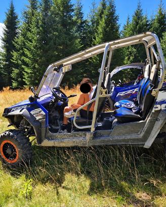 Dune Buggy