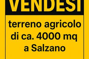 Terreno agricolo a Salzano