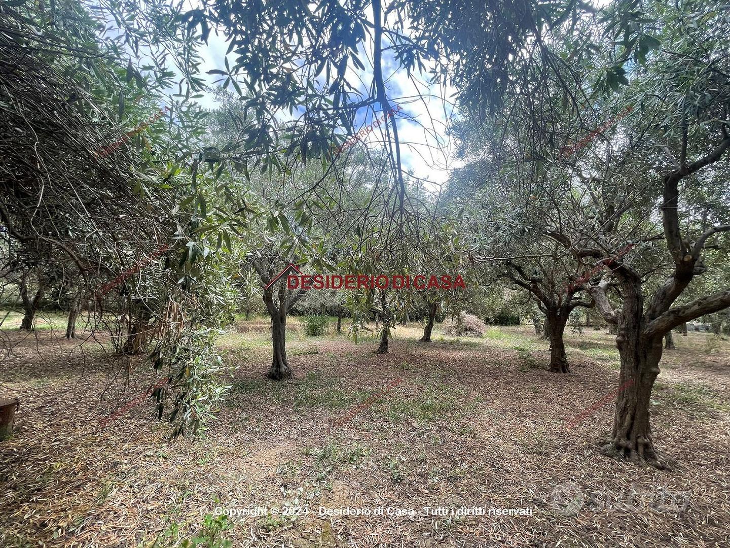 Terreno, Campofelice di Roccella. - Vista 2