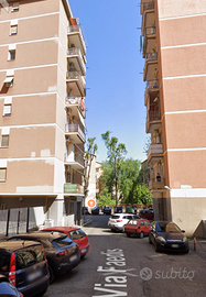 COLLATINO ELEGANTE BILOCALE ARREDATO