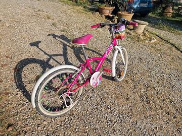 bicicletta bambina 6 - 9 anni