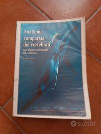 Anatomia comparata dei vertebrati