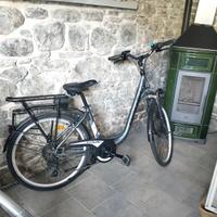 bici elettrica E-MOVE EAGLE