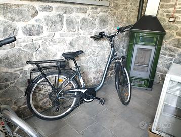 bici elettrica E-MOVE EAGLE