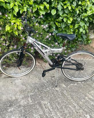 Bici Topbike
