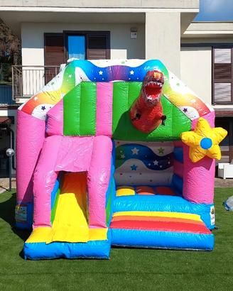 GONFIABILE PROFESSIONALE