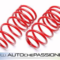 Kit molle sportive Ta Tecnix per Peugeot 106 1C 96
