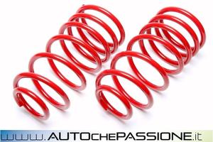 Kit molle sportive Ta Tecnix per Peugeot 106 1C 96