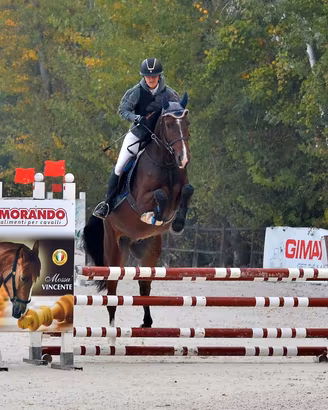Cavallo