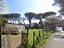 Immagine 14