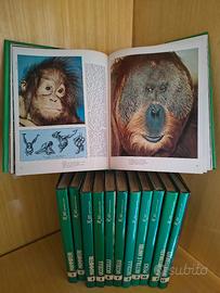 Enciclopedia il mondo degli animali