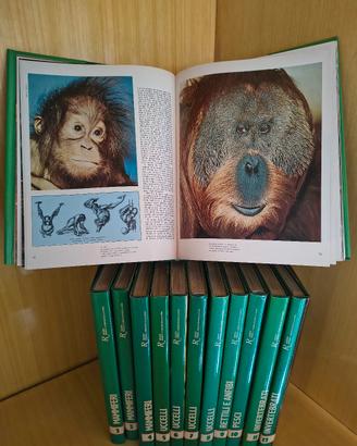 Enciclopedia il mondo degli animali