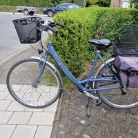 Bicicletta da donna con cestini