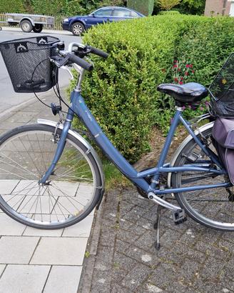 Bicicletta da donna con cestini