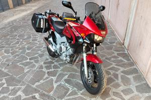 TDM 850