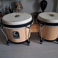bongo toca