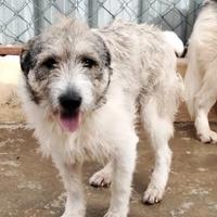 Blue, una giocherellona spettinata