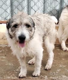 Blue, una giocherellona spettinata