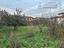 Immagine 16