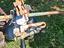 Immagine 5