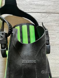 Pinne mares quattro plana avanti