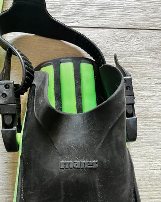 Pinne mares quattro plana avanti