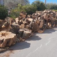 Legna da ardere ulivo