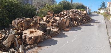 Legna da ardere ulivo