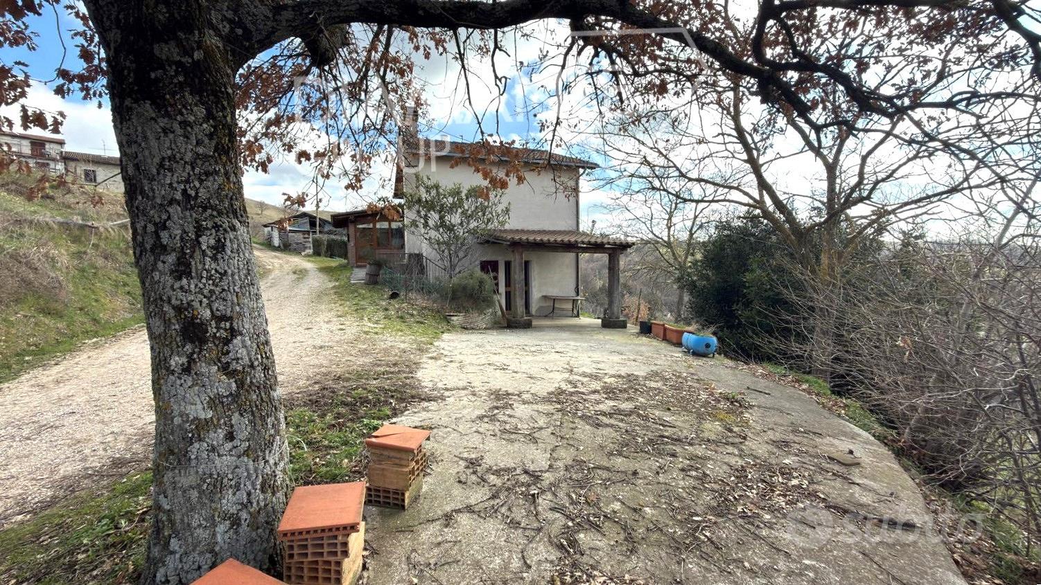 Azienda agricola di 6 ettari con casa e annessi - Vista 2