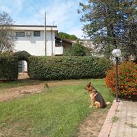 Giardiniere esperto Qualificato