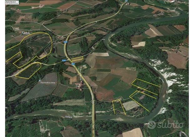 PiemonteNoccioleti 9/10 anni 16 ha+ 8 ha tartufaia