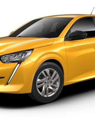 Pezzi di ricambio usati Peugeot 208 2019/2023