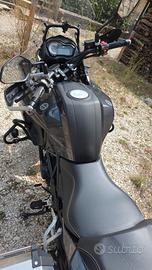 benelli Trk