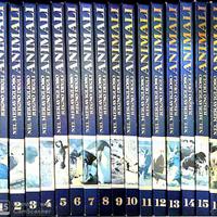 Nel meraviglioso mondo degli animali 16 volumi