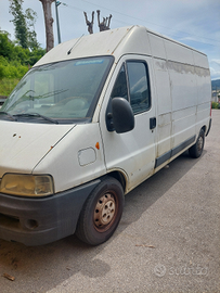 Furgone fiat Ducato