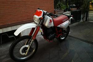 TT 600 59x