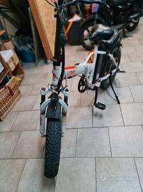 BICI ELETTRICA EBIKE FATBIKE LION 