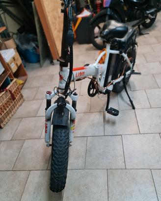BICI ELETTRICA EBIKE FATBIKE LION 