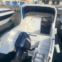 Evinrude 135 cv