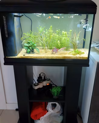 acquario amtra 60 basic completo di mobile 
