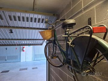 bicicletta da donna con cestino