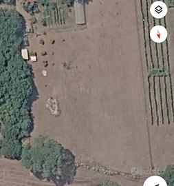 Terreno 3000mq Anagni(Osteria della Fontana)Gratis