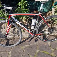 Bici da corsa Bianchi Sempre