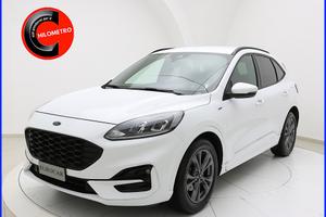 Ford Kuga 1.5 EcoBlue 120 CV 2WD ST-Line