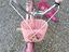 Immagine 2
